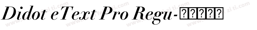 Didot eText Pro Regu字体转换